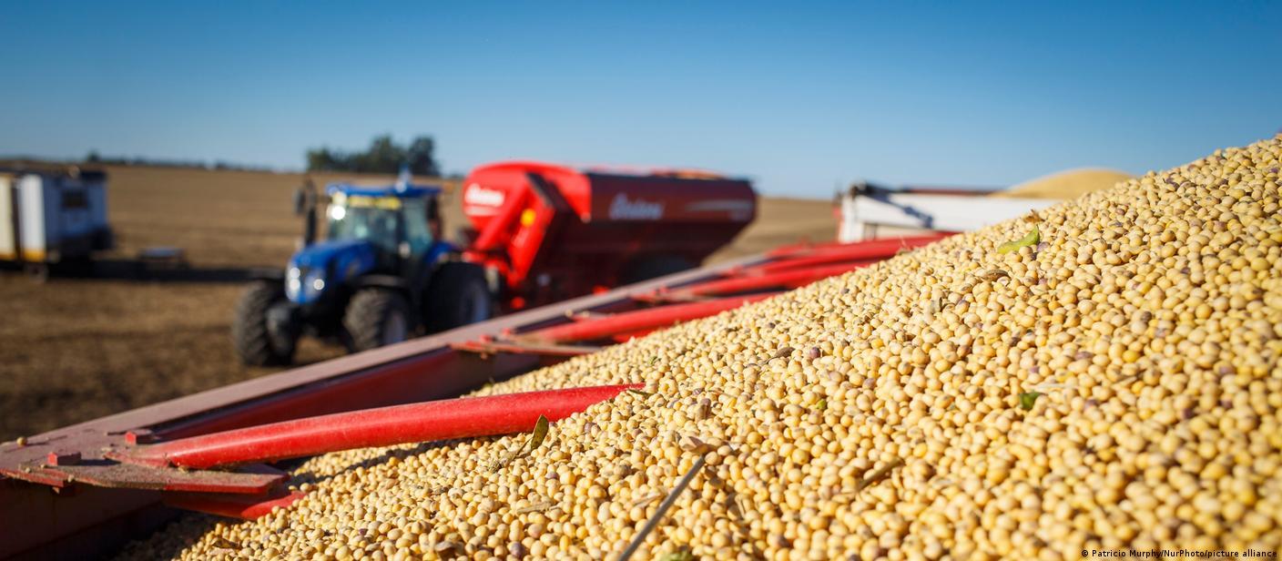 Grains and agriculture